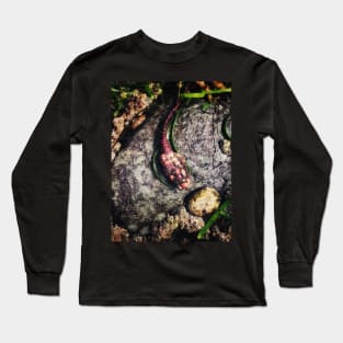 Sea Tulip (Spinifera) Long Sleeve T-Shirt